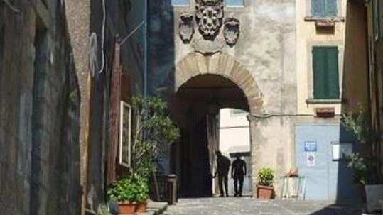 MONTE AMIATA. UN VULCANO. DI ARTE E CULTURA