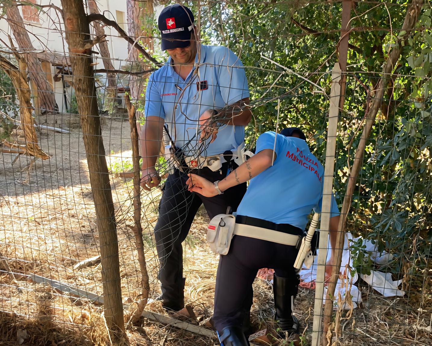 Terreno occupato in via del Mezzetta, blitz della municipale: demolite le baracche