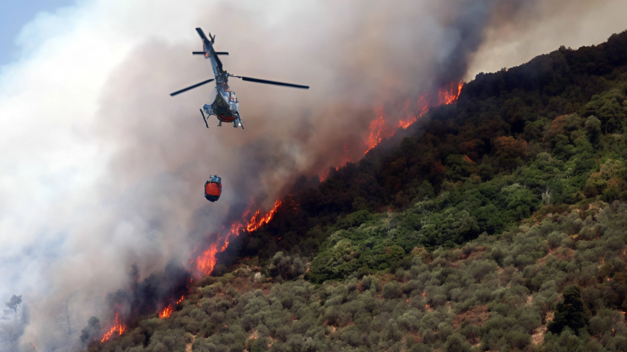 I mezzi aerei impegnati nel contrasto alle fiamme a luglio del 2022 I mezzi aerei impegnati nel contrasto alle fiamme a luglio del 2022