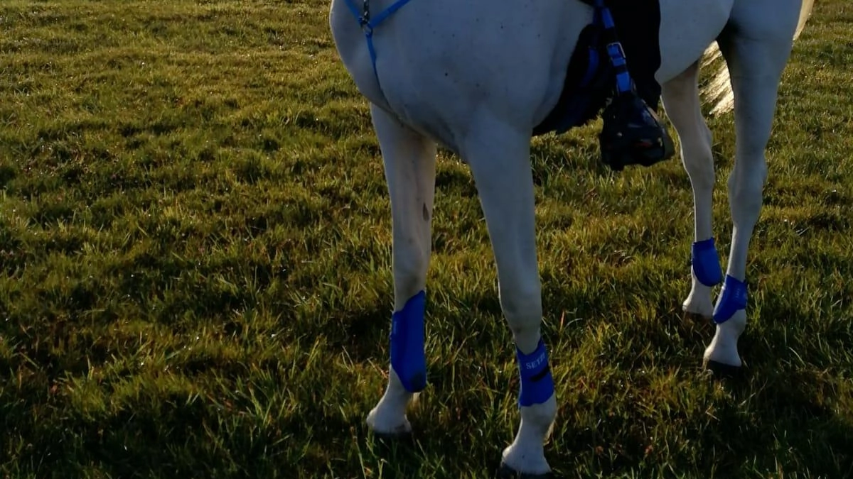 Corrado Tiberi ha accusato il malore che lo ha stroncato durante una passeggiata a cavallo lungo il percorso verde tra Selci e Pistrino Corrado Tiberi ha accusato il malore che lo ha stroncato durante una passeggiata a cavallo lungo il percorso verde tra Selci e Pistrino