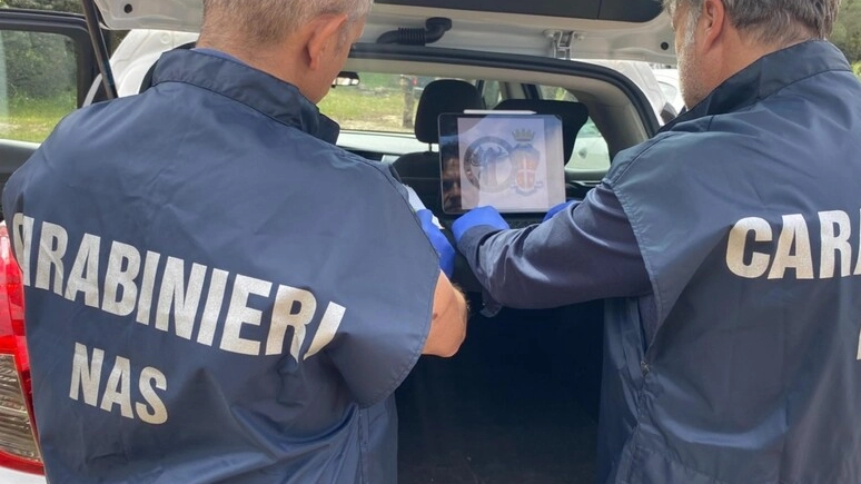 Il provvedimento è stato emesso dal gip del Tribunale pratese ed eseguito dai carabinieri del Nas di Firenze (foto di repertorio)