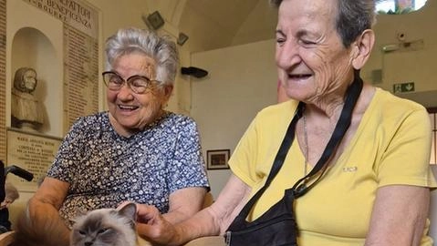 Pratesi e Lerose: "Attività all’avanguardia". Giordano: "Cura degli ospiti" Pratesi e Lerose: "Attività all’avanguardia". Giordano: "Cura degli ospiti"