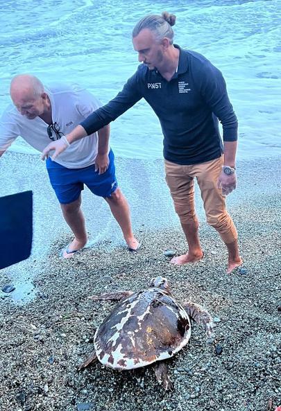 https://www.lanazione.it/image-service/view/acePublic/alias/contentid/MGFhZGYyZTgtMTdhZi00/0/tartaruga-annaspa-in-mare-lintervento-dei-bagnanti-salva-una-caretta-caretta.jpeg?f=1.90:1&h=630