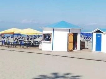 immagine articolo