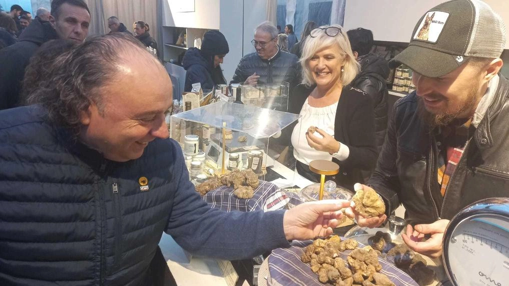 Il prelibato bianco d’autunno, delizia per le nostre tavole Il prelibato bianco d’autunno, delizia per le nostre tavole