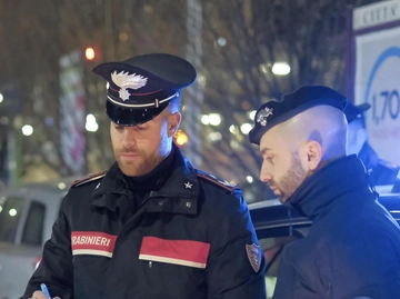 immagine articolo