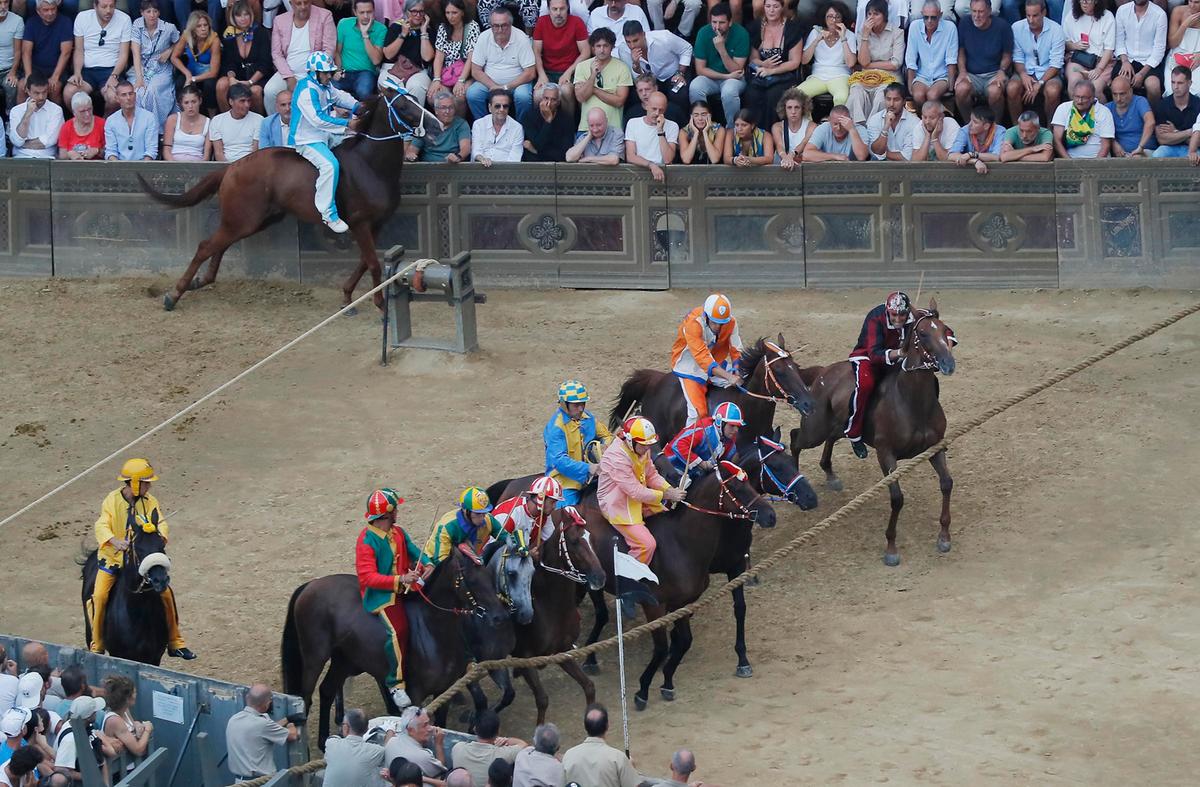 Palio, una mossa che fa discutere: l’entrata ‘a chiamata’, la posizione dell’Onda, il mossiere Palio, una mossa che fa discutere: l’entrata ‘a chiamata’, la posizione dell’Onda, il mossiere