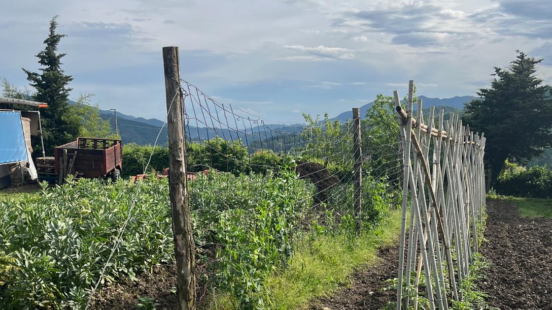 La Programmazione 2023 2027 del Gal Appennino Aretino