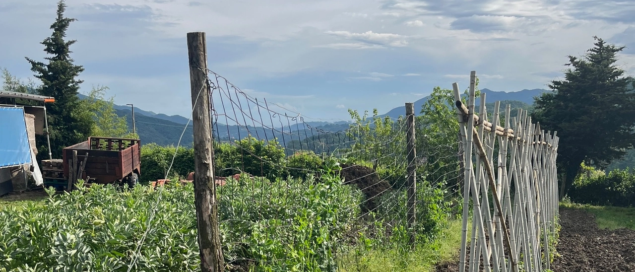La Programmazione 2023-2027 del Gal Appennino Aretino