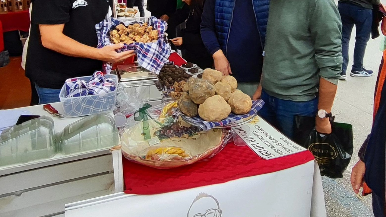 La Mostra del Tartufo torna a riempire di appassionati il centro storico di Gubbio La Mostra del Tartufo torna a riempire di appassionati il centro storico di Gubbio