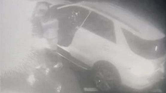Inseguì e uccise il ladro investendolo con l’auto: rinvio a giudizio per Cinzia Dal Pino