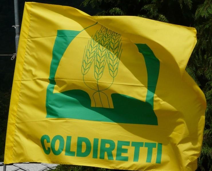 coldiretti a confronto con i candidati della provincia di arezzo al consiglio regionale della toscana