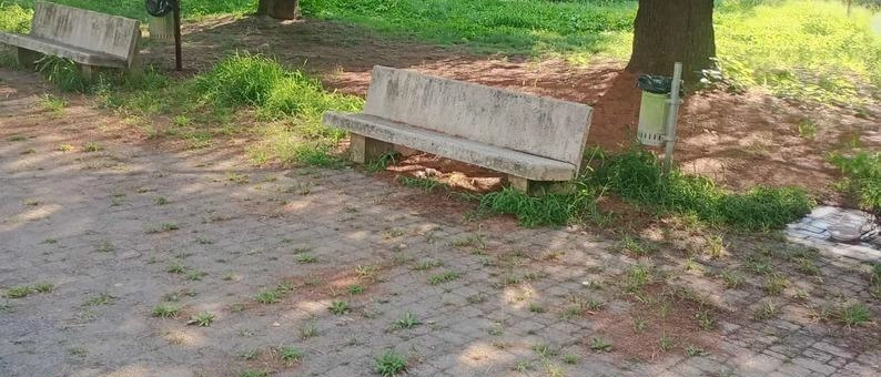 Trinità, stop al degrado. Mozione della minoranza sollecita gli interventi