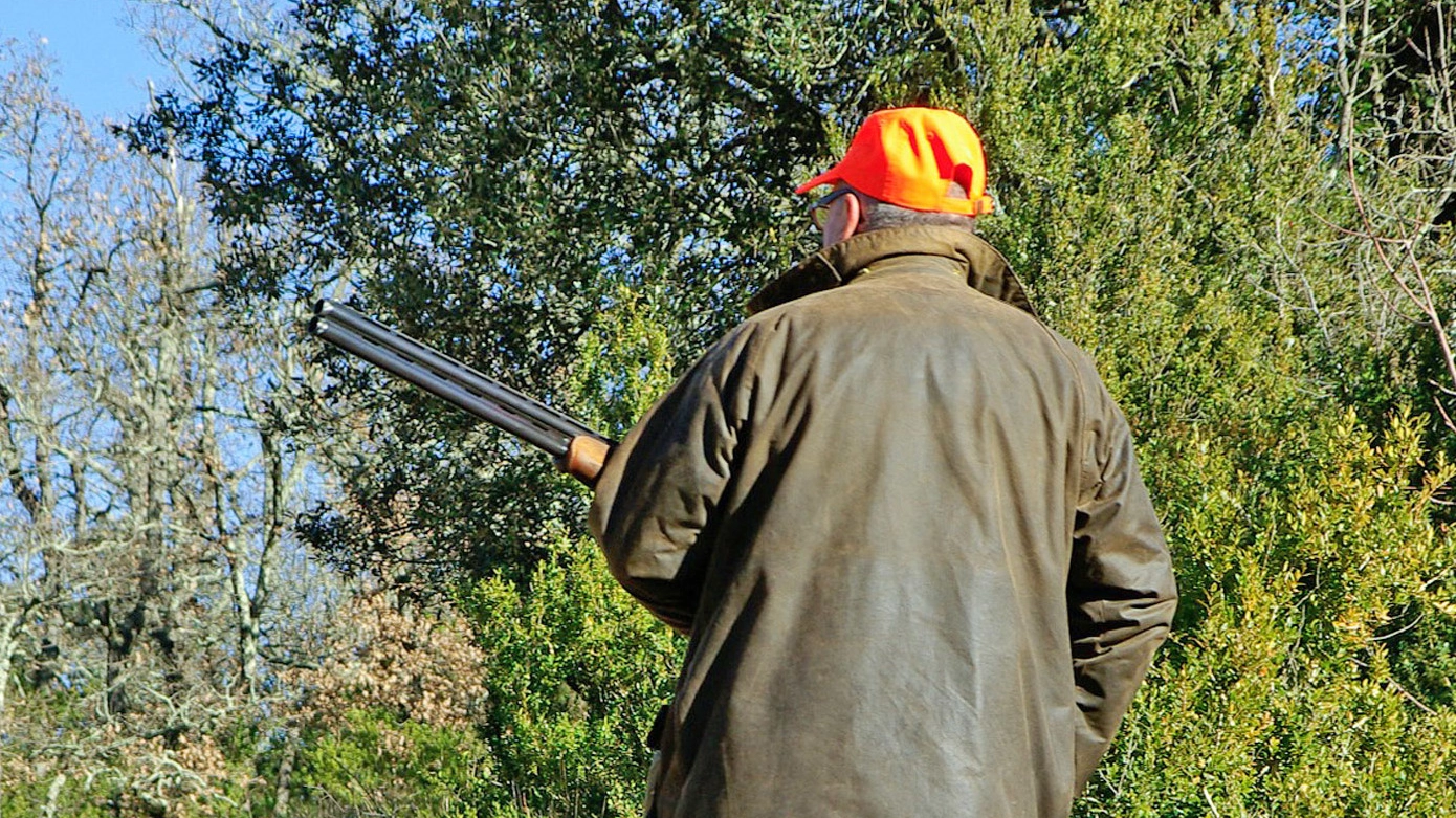 Un cacciatore impegnato in una battuta di caccia al cinghiale (foto d’archivio)