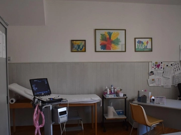 immagine articolo