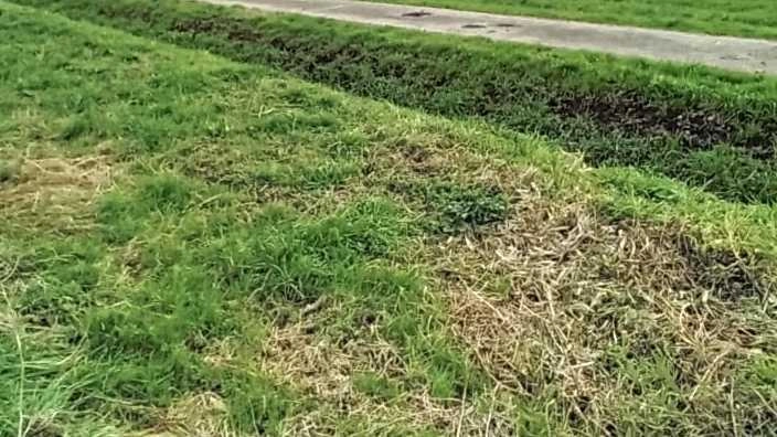 Permane il problema del sovraffollamento al cimitero di Sorbano del Vescovo, come segnalano alcuni residenti del paese. “E’ saturo –... Permane il problema del sovraffollamento al cimitero di Sorbano del Vescovo, come segnalano alcuni residenti del paese. “E’ saturo –...