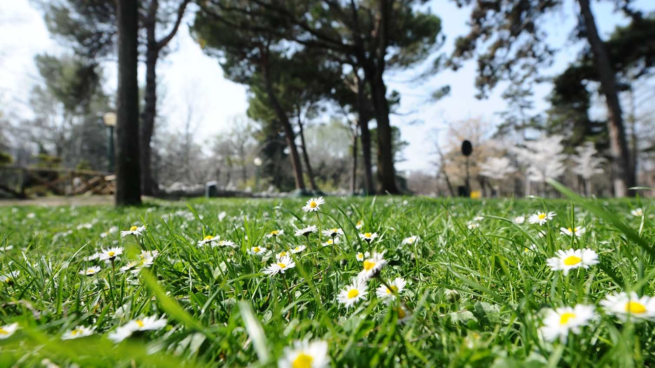 Meteo, nei primi giorni di marzo arrivano sole e temperature primaverili (foto Schicchi)