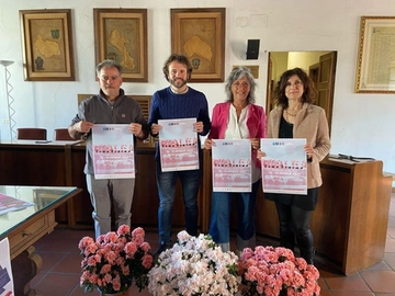 immagine articolo