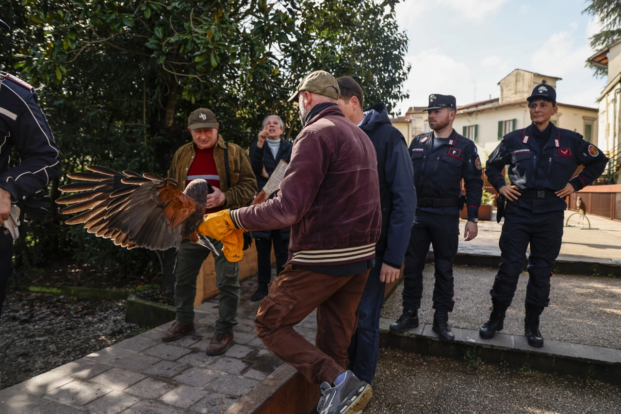 immagine di sfondo 5