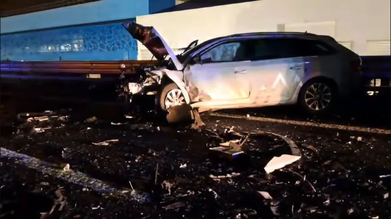 La scena dello schianto sulla A11 dove è morta la donna (Foto Tvl) La scena dello schianto sulla A11 dove è morta la donna (Foto Tvl)