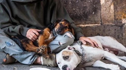 Gli animali d’affezione con cui vivono i senzatetto spesso condividono con i padroni la durezza della vita Gli animali d’affezione con cui vivono i senzatetto spesso condividono con i padroni la durezza della vita