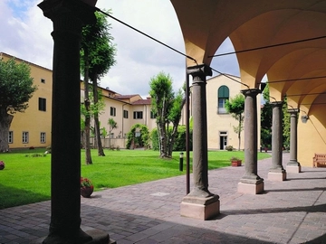 immagine articolo