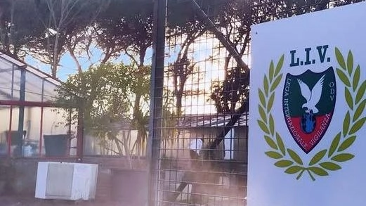 Un appello a ragazzi e adulti arriva dai volontari del canile Hermada, impegnati in questo periodo anche nel progetto di... Un appello a ragazzi e adulti arriva dai volontari del canile Hermada, impegnati in questo periodo anche nel progetto di...