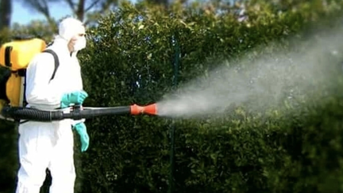 Un caso di dengue, scatta la disinfestazione (Foto di repertorio)