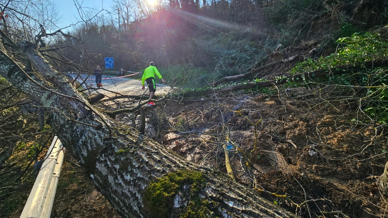 La frana su via Stazione all'incrocio per Poggio alla Malva La frana su via Stazione all'incrocio per Poggio alla Malva