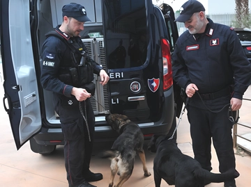 immagine articolo