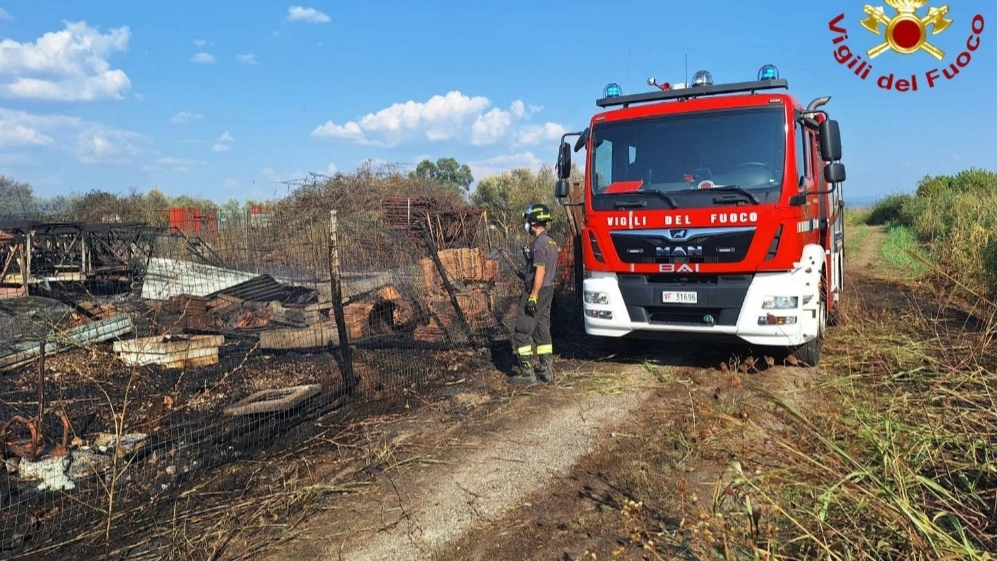 Vigili del fuoco Vigili del fuoco