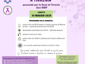 immagine articolo