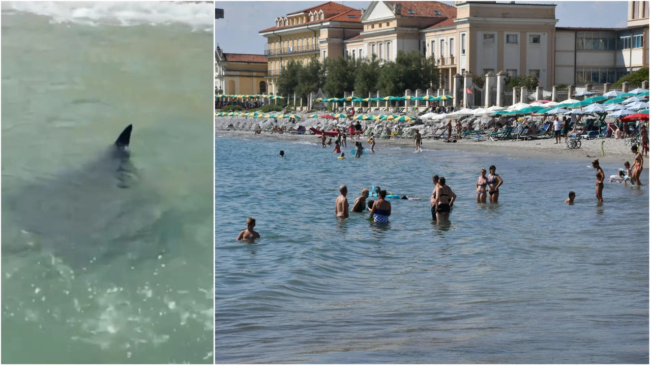 Come sta la manta che si aggira vicino alla battigia: due avvistamenti di mattina