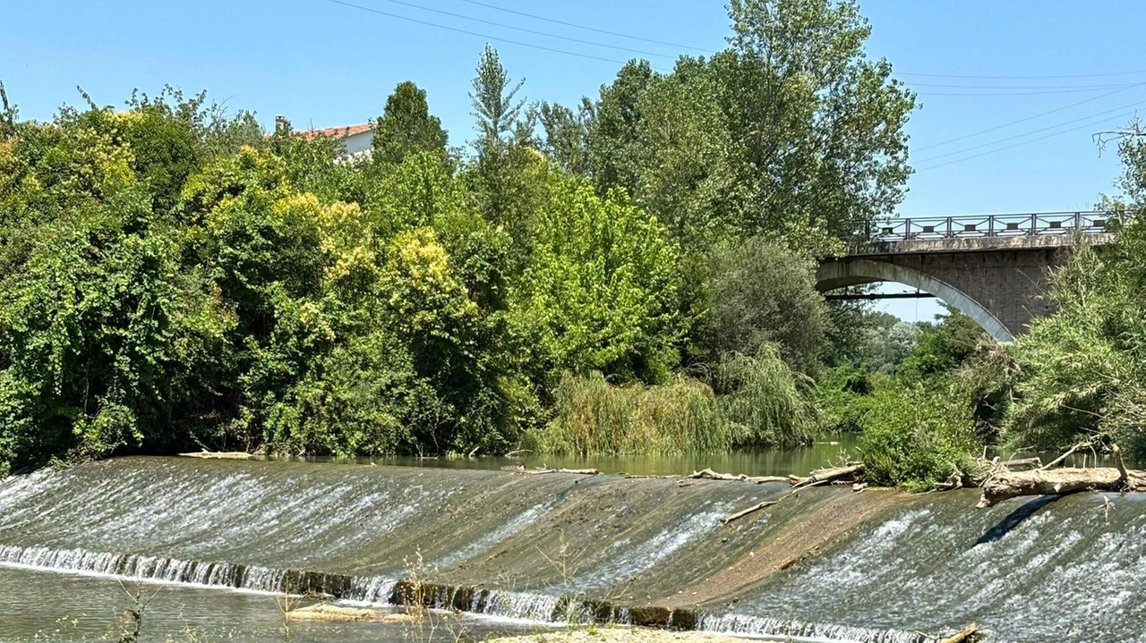 L’appuntamento è alle 10 di domenica, presso la chiusa del Fiume Chiascio, per vivere una giornata immersi nella scoperta e l’approfondimento del patrimonio naturalistico L’appuntamento è alle 10 di domenica, presso la chiusa del Fiume Chiascio, per vivere una giornata immersi nella scoperta e l’approfondimento del patrimonio naturalistico