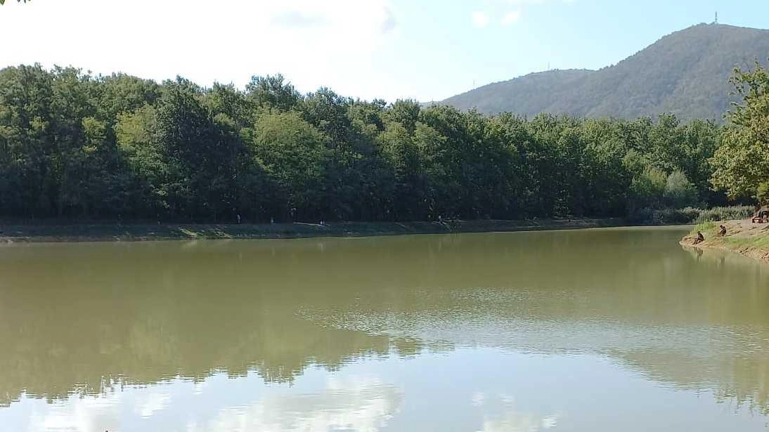 Concorso fotografico dedicato al lago