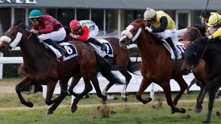 Una corsa all’ippodromo San Rossore (foto d’archivio)