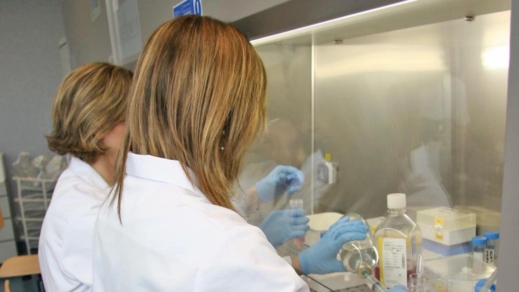 Bocconi avvelenati, secondo le analisi Bocconi avvelenati, secondo le analisi