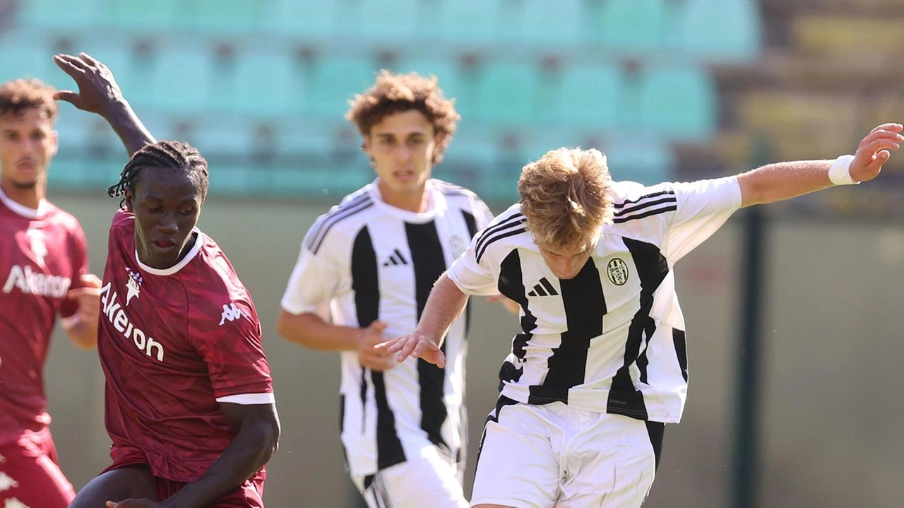 Affatto facile analizzare la sconfitta in cui è incappato il Siena nella sua partita di esordio nella nuova Serie D.... Affatto facile analizzare la sconfitta in cui è incappato il Siena nella sua partita di esordio nella nuova Serie D....