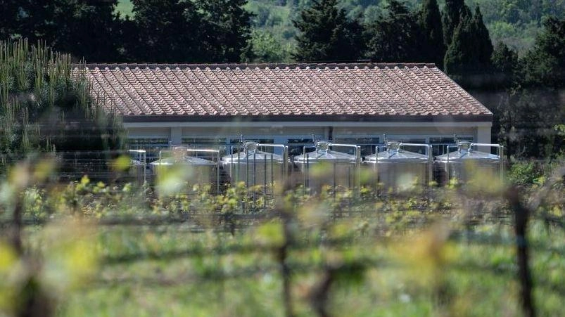 Finanziamenti Ue a un’azienda agricola di un oligarca russo