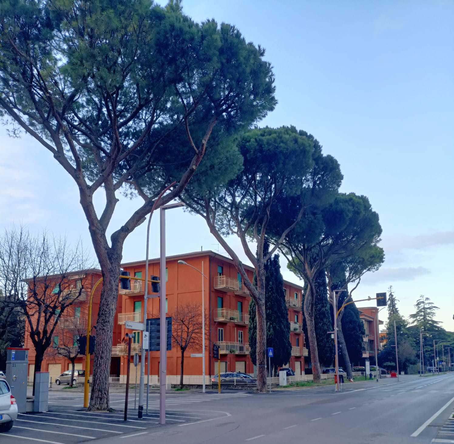 otto pini saranno salvati successo a met224