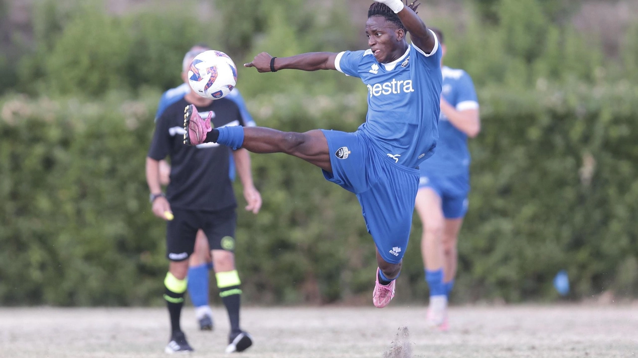 Il Siena FC completa la rosa con gli arrivi di Soumahoro e Fort, due giovani talenti pronti a dare il loro contributo in attacco e in difesa. La squadra è ora pronta per la nuova stagione sotto la guida di mister Magrini. Il Siena FC completa la rosa con gli arrivi di Soumahoro e Fort, due giovani talenti pronti a dare il loro contributo in attacco e in difesa. La squadra è ora pronta per la nuova stagione sotto la guida di mister Magrini.