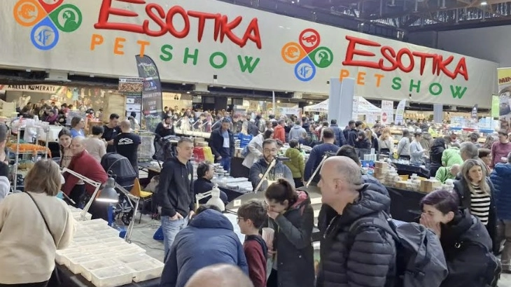 Esotika Esotika