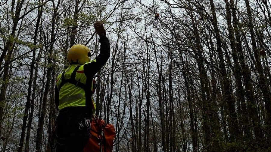I vigili del fuoco sul posto I vigili del fuoco sul posto