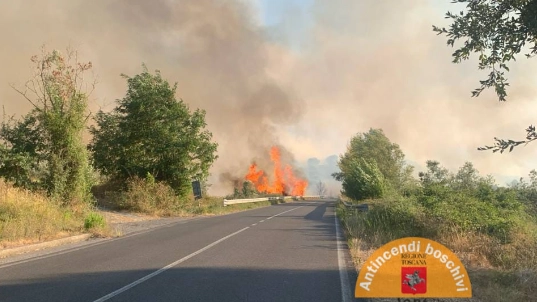 L'incendio di Roccastrada: iniziato ai margini della sp 21, ha poi attaccato la vegetazione dell'interno