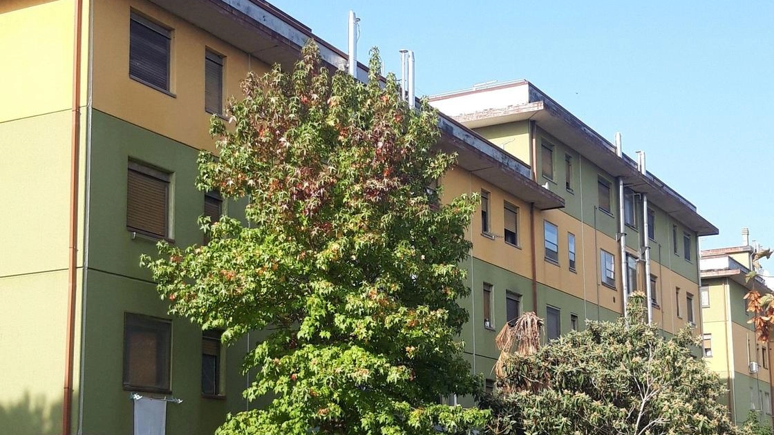 Gli alloggi popolari al famoso «biscione» di via Pea, a Tonfano, da dove è partita la protesta dei cittadini Gli alloggi popolari al famoso «biscione» di via Pea, a Tonfano, da dove è partita la protesta dei cittadini