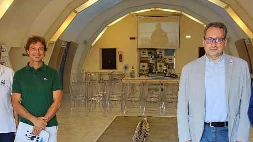 Lo scheletro di capodoglio Lo scheletro di capodoglio