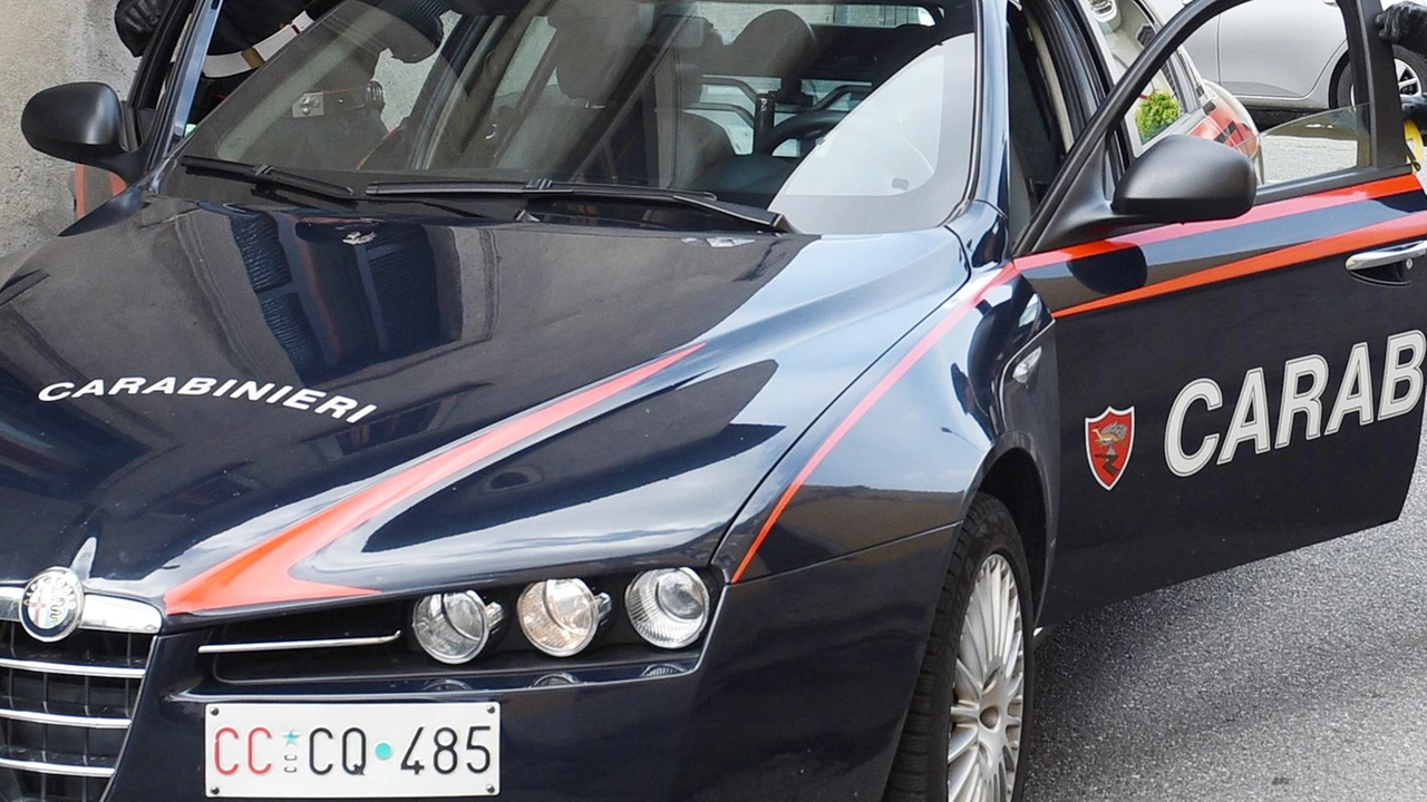 Il sindaco Bartoli dopo l’ultima segnalazione si è rivolto ai carabinieri (foto archivio) Il sindaco Bartoli dopo l’ultima segnalazione si è rivolto ai carabinieri (foto archivio)