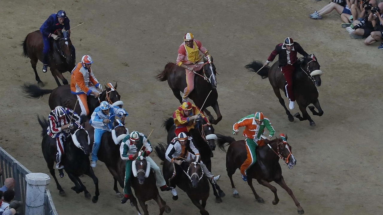 Un momento della partenza del Palio dell’Assunta che è poi stato vinto da Velluto su Benitos nella Lupa. I comportamenti scorretti per Giordano sono avvenuti fra i canapi Un momento della partenza del Palio dell’Assunta che è poi stato vinto da Velluto su Benitos nella Lupa. I comportamenti scorretti per Giordano sono avvenuti fra i canapi