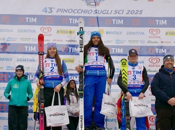 immagine articolo