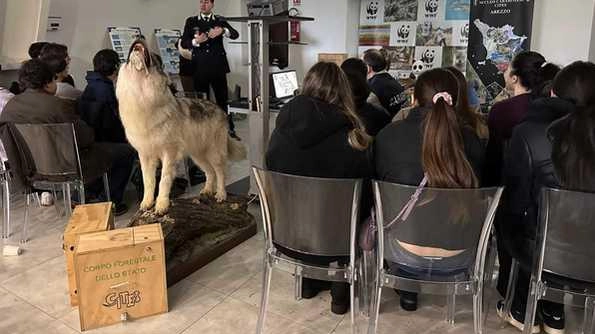 Gli studenti del Liceo di Orbetello nei giorni scorsi impegnati in lezioni sull’oasi del Wwf Gli studenti del Liceo di Orbetello nei giorni scorsi impegnati in lezioni sull’oasi del Wwf